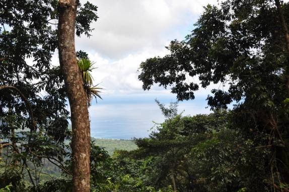Mar do Caribe visto da trilha para o El Tucuche, a segunda mais alta montanha da ilha de Trinidad